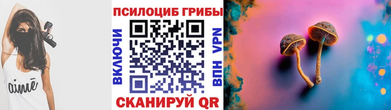 Галлюциногенные грибы Magic Shrooms  купить  цена  Шахты 